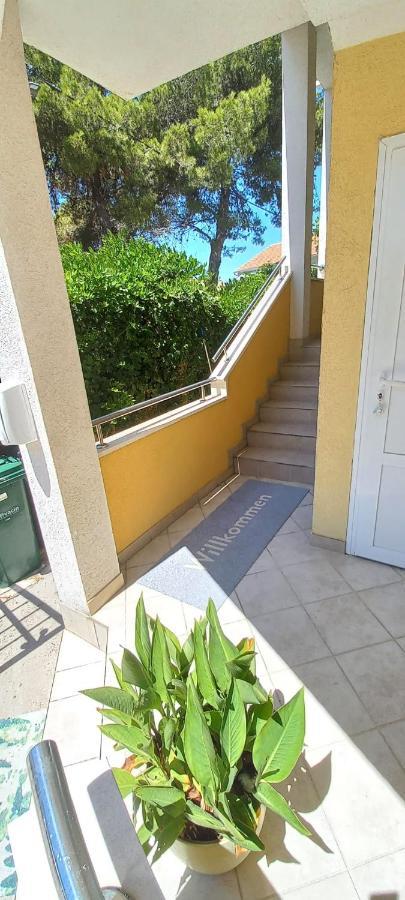 Apartments Petrovic ロゴズニッツァ エクステリア 写真