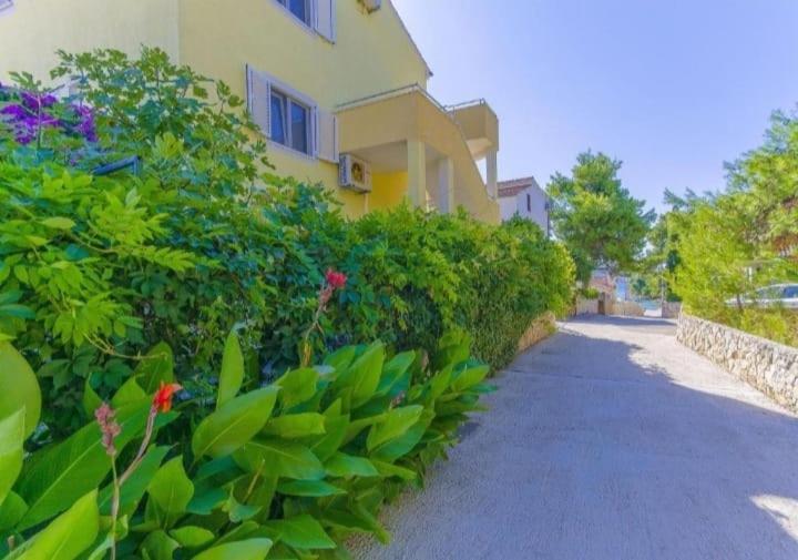 Apartments Petrovic ロゴズニッツァ エクステリア 写真
