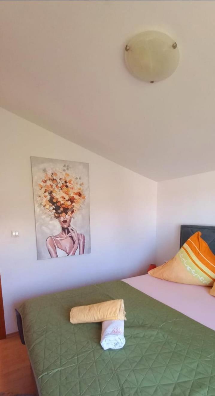 Apartments Petrovic ロゴズニッツァ エクステリア 写真