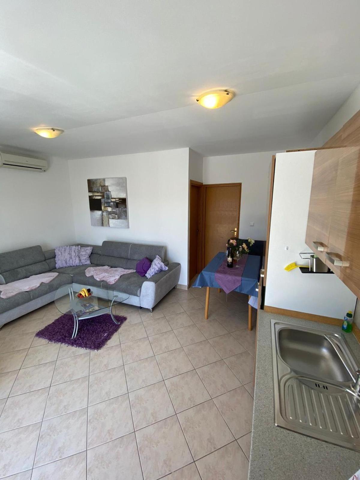 Apartments Petrovic ロゴズニッツァ 部屋 写真