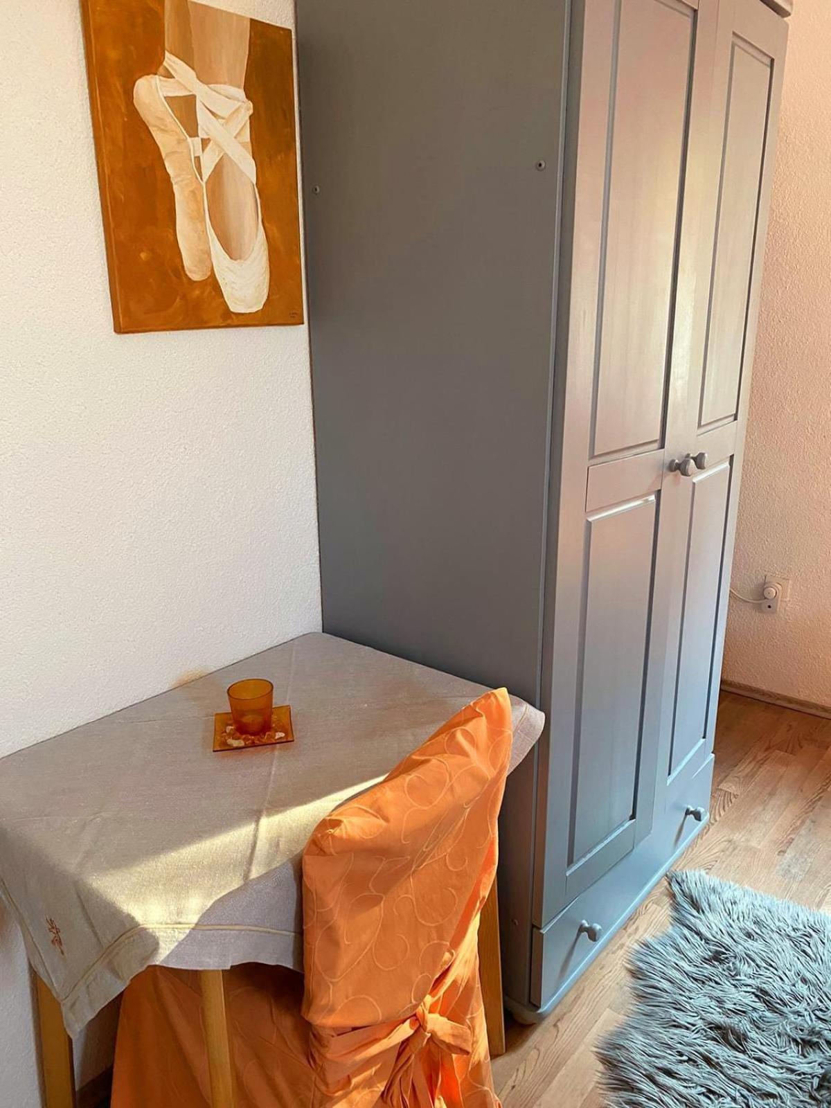 Apartments Petrovic ロゴズニッツァ 部屋 写真